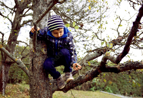 Cute little kid boy enjoying climbing on tree in garden on autumn day.