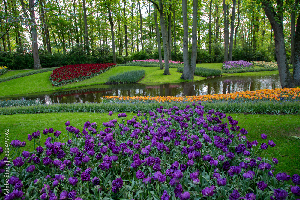 Tulips. Keukenhof park, Lisse, the Netherlands.