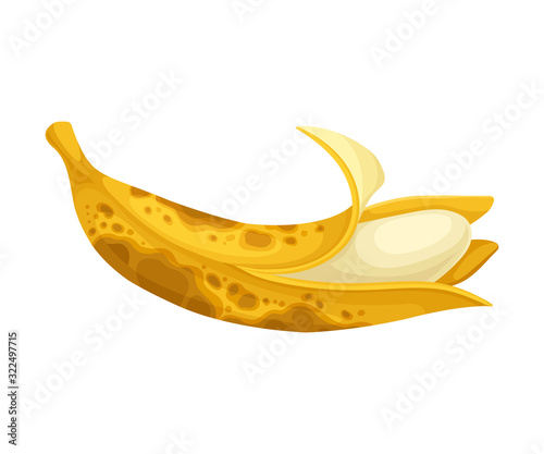 Rotten Banana with Stinky Rot Covered the Skin Vector Illustration