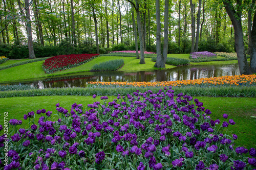 Tulips. Keukenhof park  Lisse  the Netherlands.