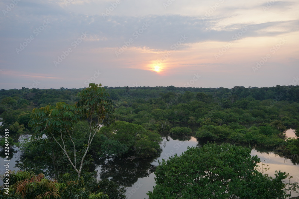 Amazon forest sanset wonderful landscape