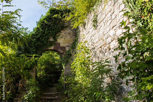 Fototapeta Naklejka Na Ścianę i Meble -  Stairs leading to a archway in a old ancient ruin with a wall on the right covered with plants