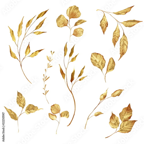 Golden branches and leaves. Gold floral elements for design