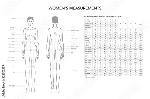 Womens measurements fashion terminology Illustration for lady size chart.