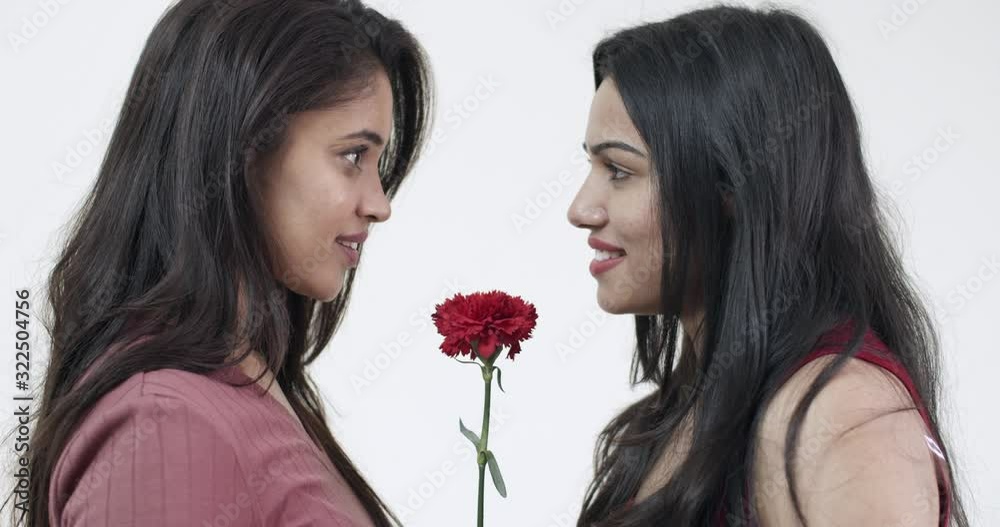 Lesbian lovers celebrate and propose each other on valentine's day 14th feb date with a red flower in between as they get closer and intimate with desire and passion, isolated on white background. Lesbian lovers celebrate and propose each other on valentine's day 14th feb date with a red flower in between as they get closer and intimate with desire and passion, isolated on white background.