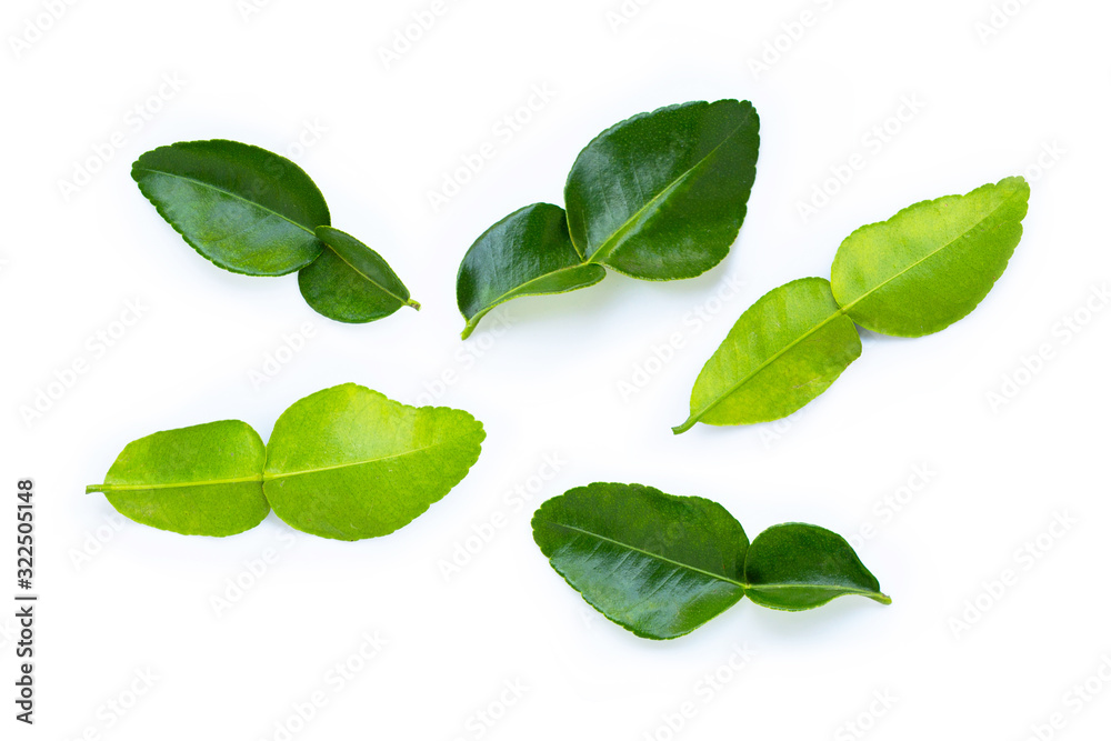 Fototapeta premium Bergamot kaffir lime leaves herb fresh ingredient isolated on white