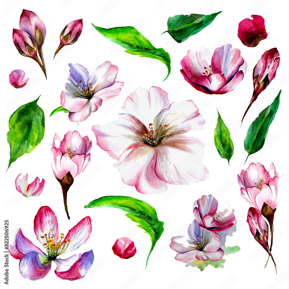 watercolor set of flowers and leaves for the design of cards and invitations