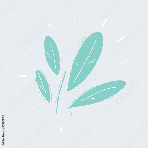 Green leaves. Hand drawn icons on white.