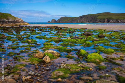 Green seaweed covers rocks along the beach of Port Swingo in the Scottish Highlands, United Kingdom during a bright summer day. 