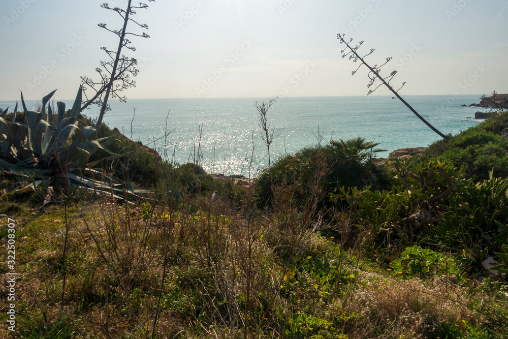 Fototapeta premium The coast in Vinaroz on a clear day, Costa Azahar