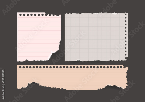 Notebook torn paper ripped Set. Scrapbook note pieces torn paper. Vector paper different shapes