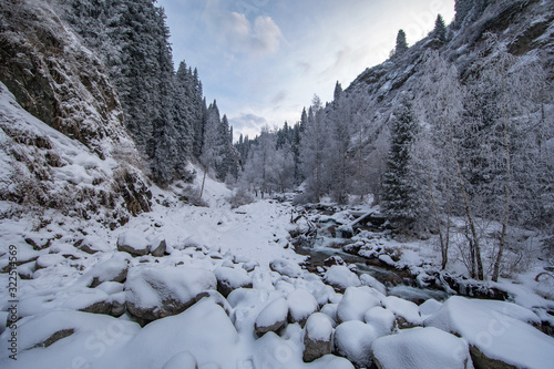 river in coniferous forest in the mountains in winter