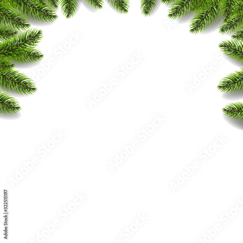 Green Fir Tree Border Isolated White Background