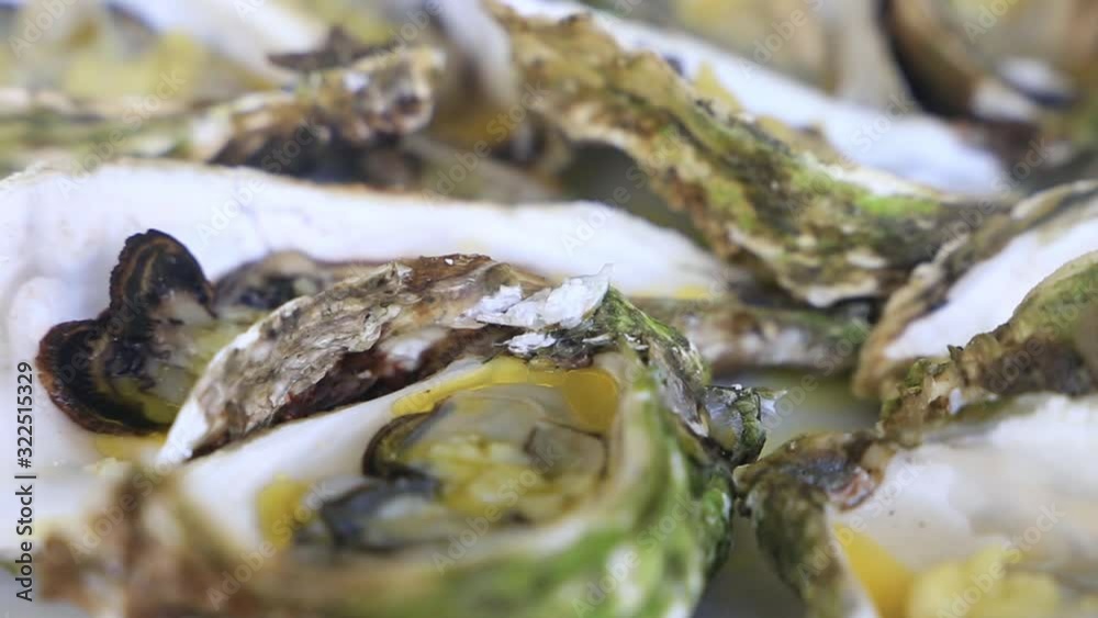 Fresh Oyster for use in presentations, manuals Fresh Oyster for use in presentations, manuals