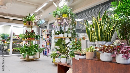 Beautiful atmospheric flower shop with decorations. Stylish interior design with plants, pots, and furniture 