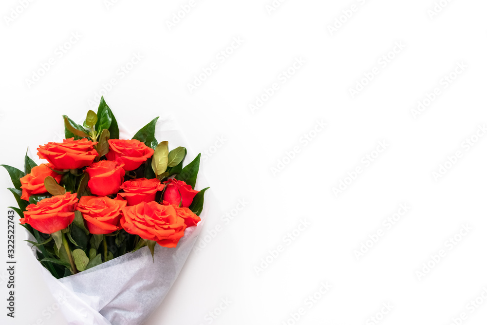 Obraz premium Red roses