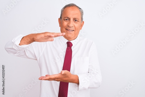 Senior grey-haired businessman wearing elegant tie over isolated white background gesturing with hands showing big and large size sign, measure symbol. Smiling looking at the camera. Measuring