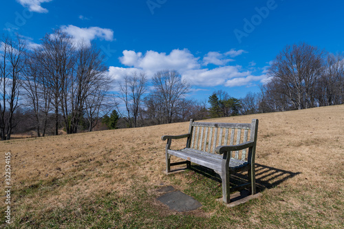A Solitary Park Bench