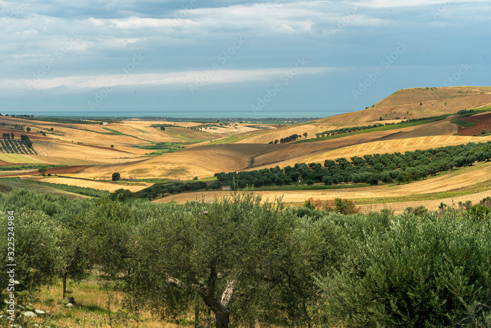 Rural landscape near Serracapriola, Apulia, Italy