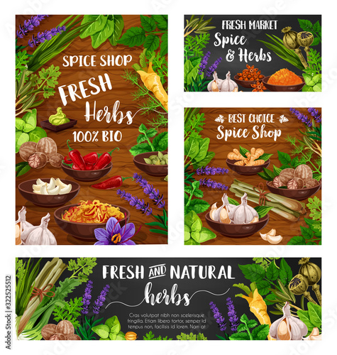 Herb and spice vector design of food condiments and seasonings. Basil, chilli and thyme, garlic, parsley and dill, ginger, nutmeg and rosemary, turmeric and saffron on wooden and chalkboard background