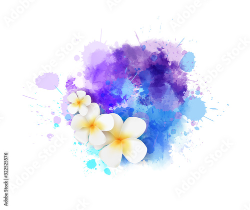 Abstract paint splash with frangipani flowers