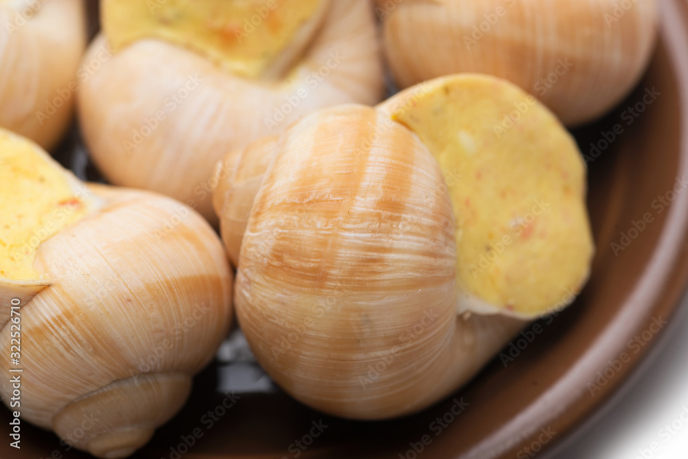 still life of stuffed snail sauce, on a white background still life of stuffed snail sauce, on a white background