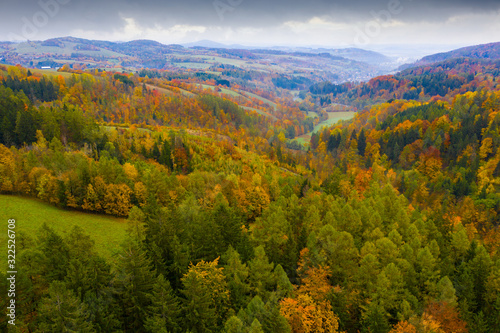 Forest landscape in autumn day