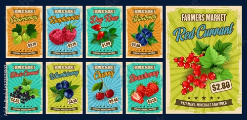 Berry and fruit branches of vector strawberry, cherry and blueberry, raspberry, black and red currants, gooseberry, bilberry and sweet briar. Farmer market retro posters with berries and price tags