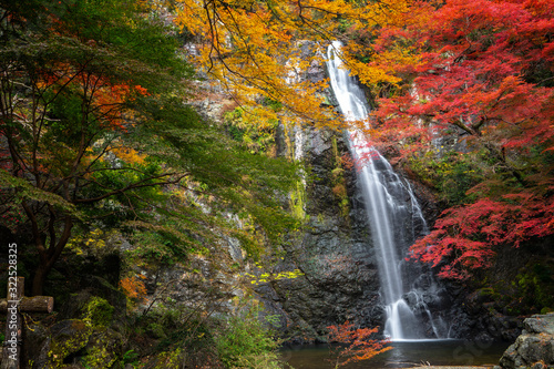Fototapeta Naklejka Na Ścianę i Meble -  minoh waterfall park with autumn red and yellow background
