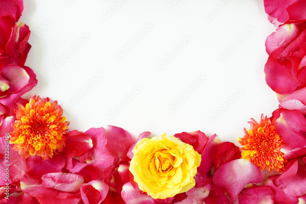 Beautiful flowers on a white background