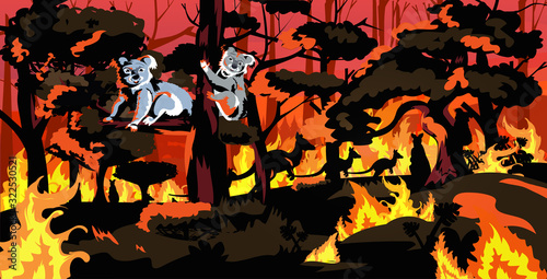 koala bears sitting on tree forest fires in australia animals dying in wildfire bushfire natural disaster concept intense orange flames horizontal vector illustration