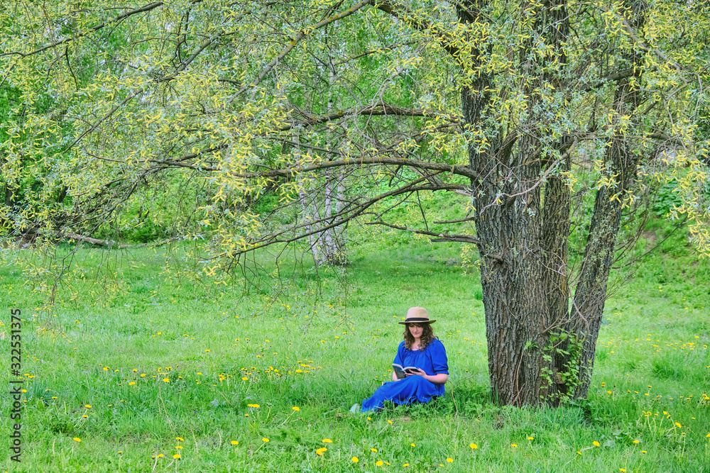 A young woman is sitting under a tree and reading a book. Girl in a blue dress with a book on a background of spring nature A young woman is sitting under a tree and reading a book. Girl in a blue dress with a book on a background of spring nature