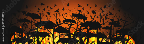birds silhouettes flying over wildfire forest escaping from fires in australia animals dying in bushfire natural disaster concept intense orange flames horizontal vector illustration
