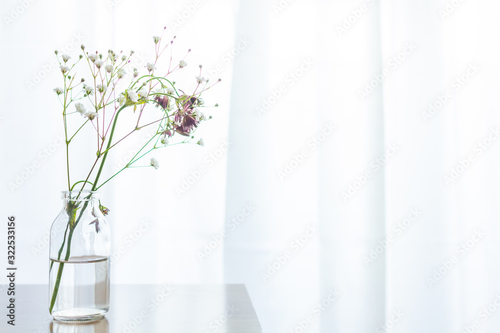 部屋の花瓶に飾ったかすみ草 Stock 写真 Adobe Stock