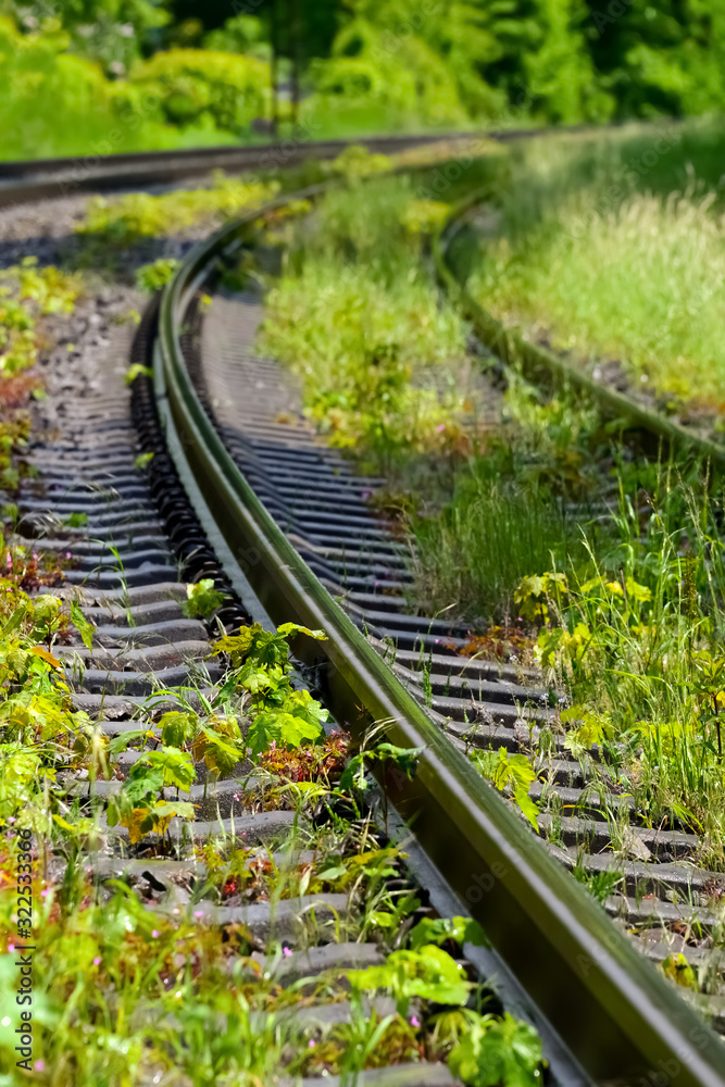 Obraz premium Eisenbahn Gleise Kurve nass Regen Glanz Strecke Schienen überwuchert Schwellen Stahl verrottet Natur Unkraut Strecke erneuern 