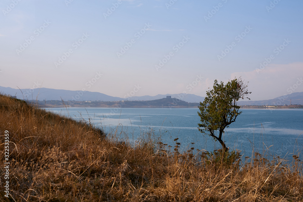 Lonely tree on the lake Lonely tree on the lake