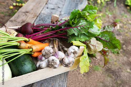 Harvesting homegrown products