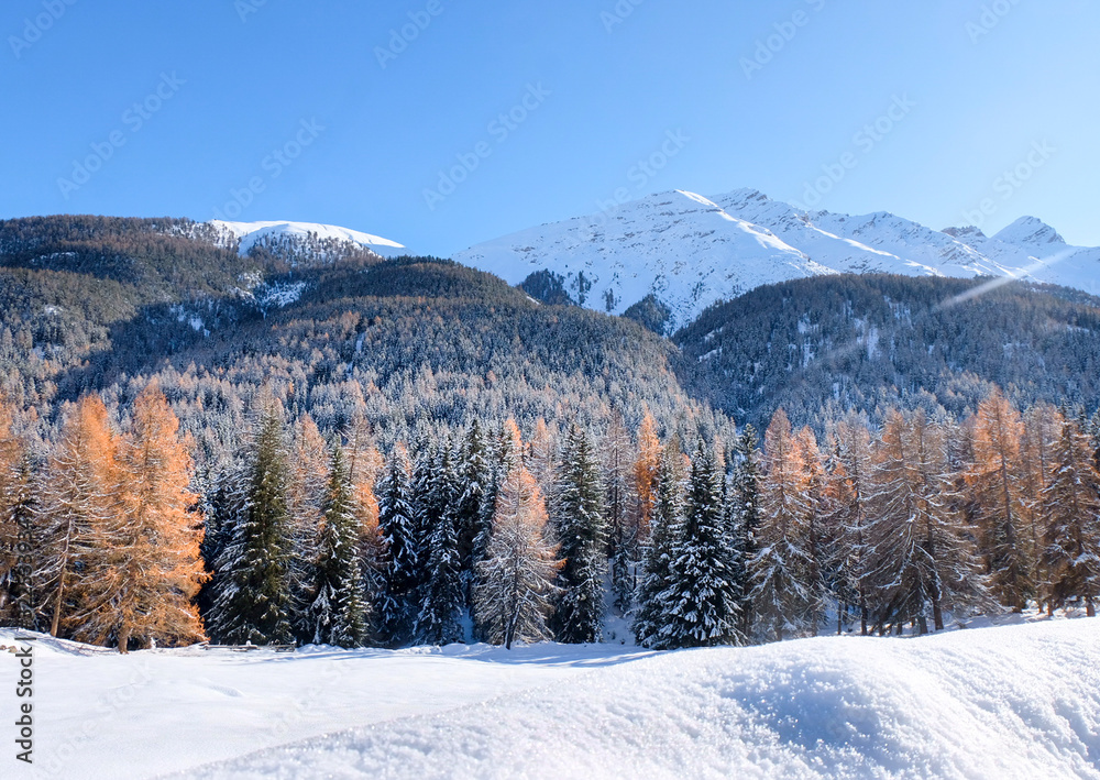 Swiss Alps winter paradise 