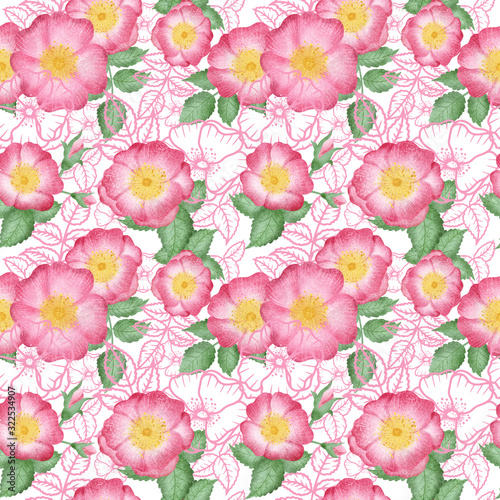 Seamless wild rose flowers pattern. Hand drawn rose hip flowers background. Pink rose flowers pattern for print, fabric, greeting cards, wedding, wrapping paper.