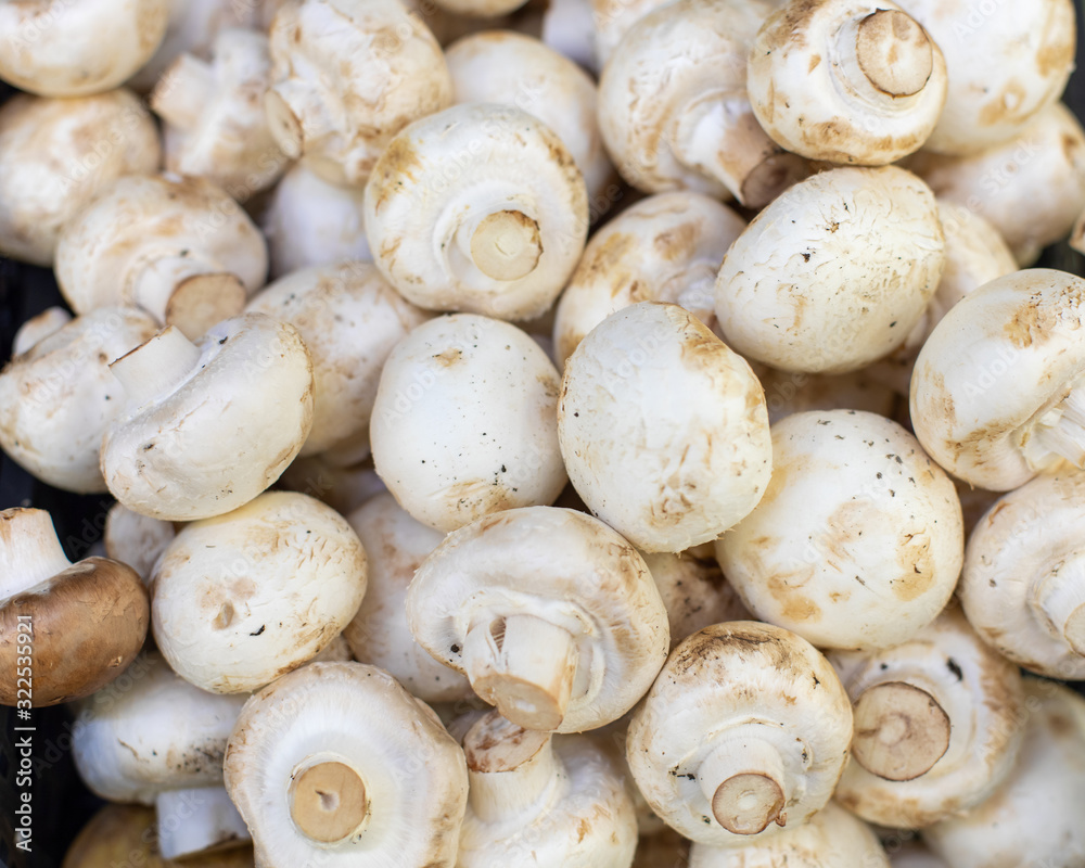 White champignon mushrooms, backdrop background. Many mushrooms close-up. Fresh ripe pure white mushroom Chapminon Agaricus White champignon mushrooms, backdrop background. Many mushrooms close-up. Fresh ripe pure white mushroom Chapminon Agaricus