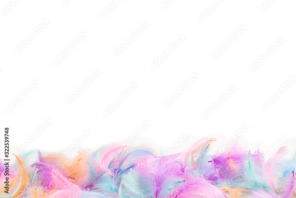 Colorful feather background, isolated on white.