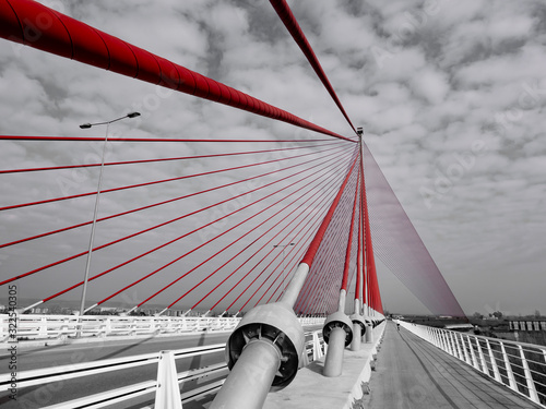 Cable-stayed bridge of Castilla la Mancha, picture developed as selective desaturation maintaining the colour saturation only in bridge wires.