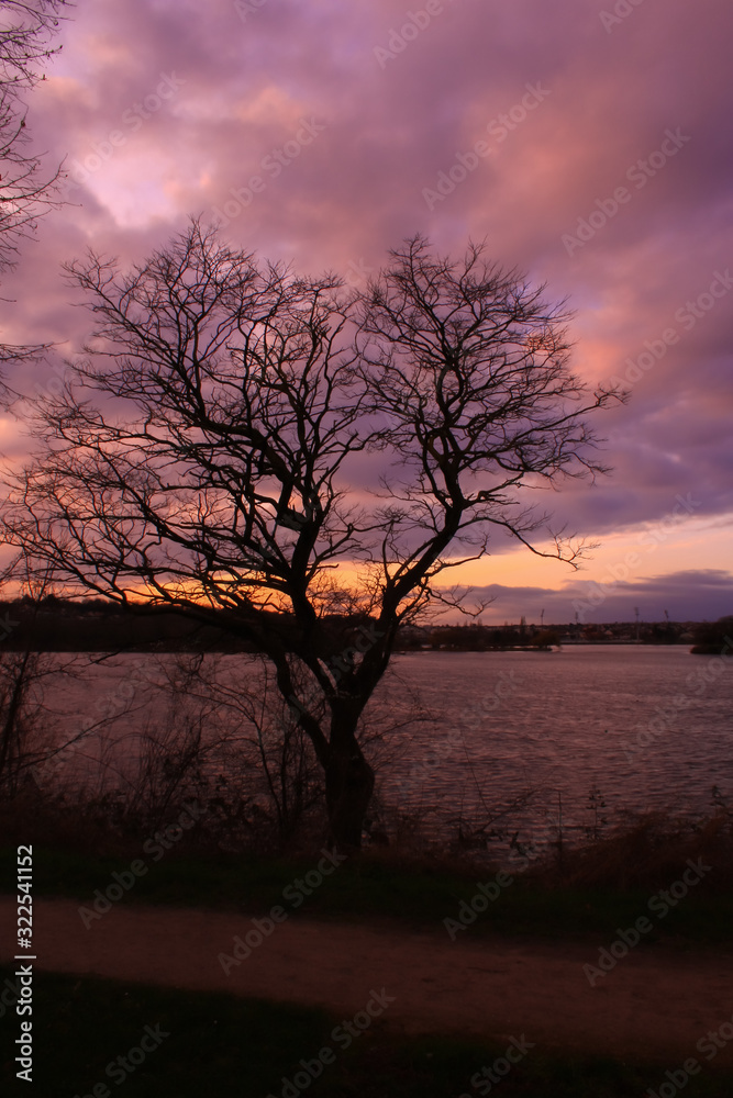 Dramatic sky very cloudy at sunset. Tree without foliage in the foreground in front of a lake. Silhouette of the horizon at the water's edge in the background.
