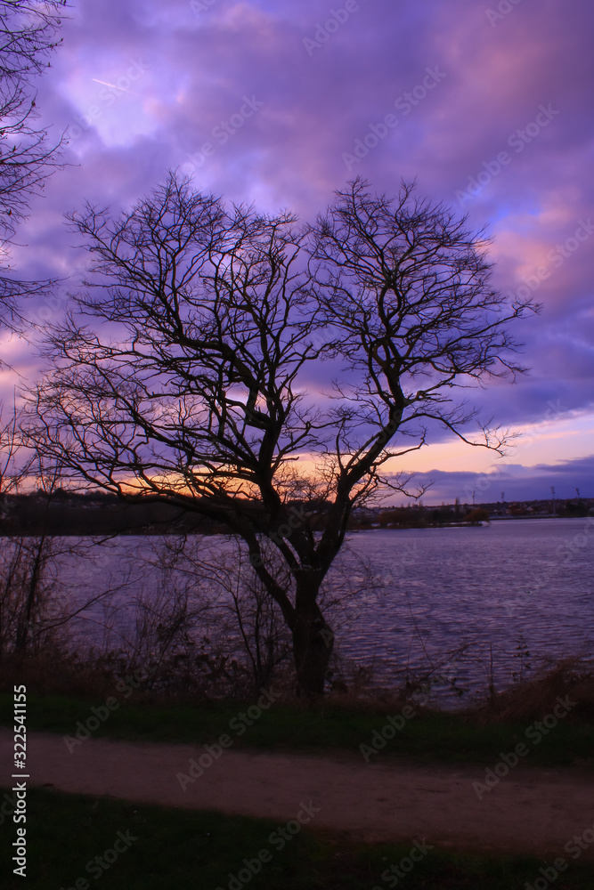Obraz premium Dramatic sky very cloudy at sunset. Tree without foliage in the foreground in front of a lake. Silhouette of the horizon at the water's edge in the background.