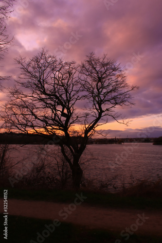 Dramatic sky very cloudy at sunset. Tree without foliage in the foreground in front of a lake. Silhouette of the horizon at the water's edge in the background.