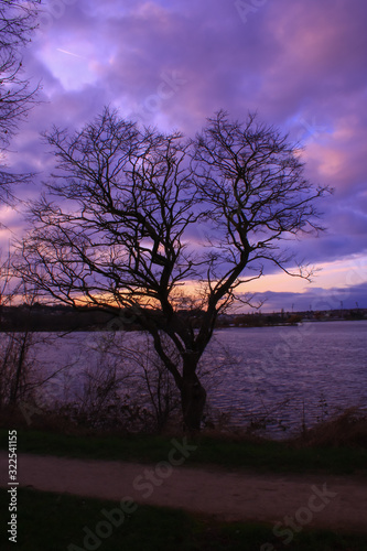 Dramatic sky very cloudy at sunset. Tree without foliage in the foreground in front of a lake. Silhouette of the horizon at the water s edge in the background.