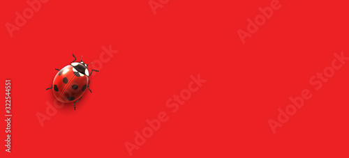 minimalist and modern lucky spring background  top view A ladybug on red color 
