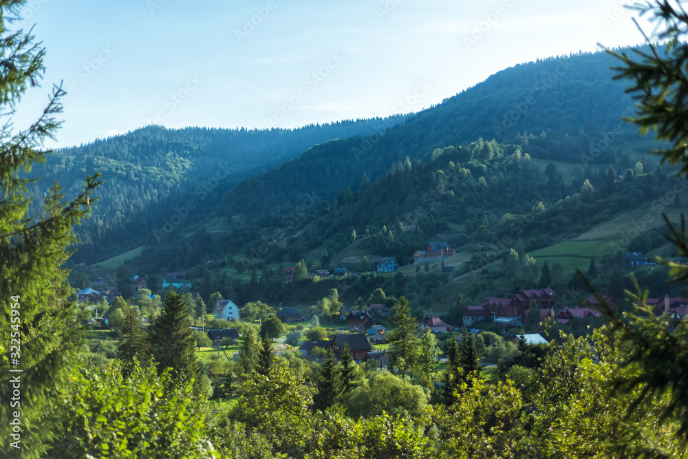 Amazing view of houses and pine-trees in valley of Carpathian mountains in west part of Ukraine. Famous ukrainian mountains. Scenic landscape. Tourist destination for summer and winter holidays