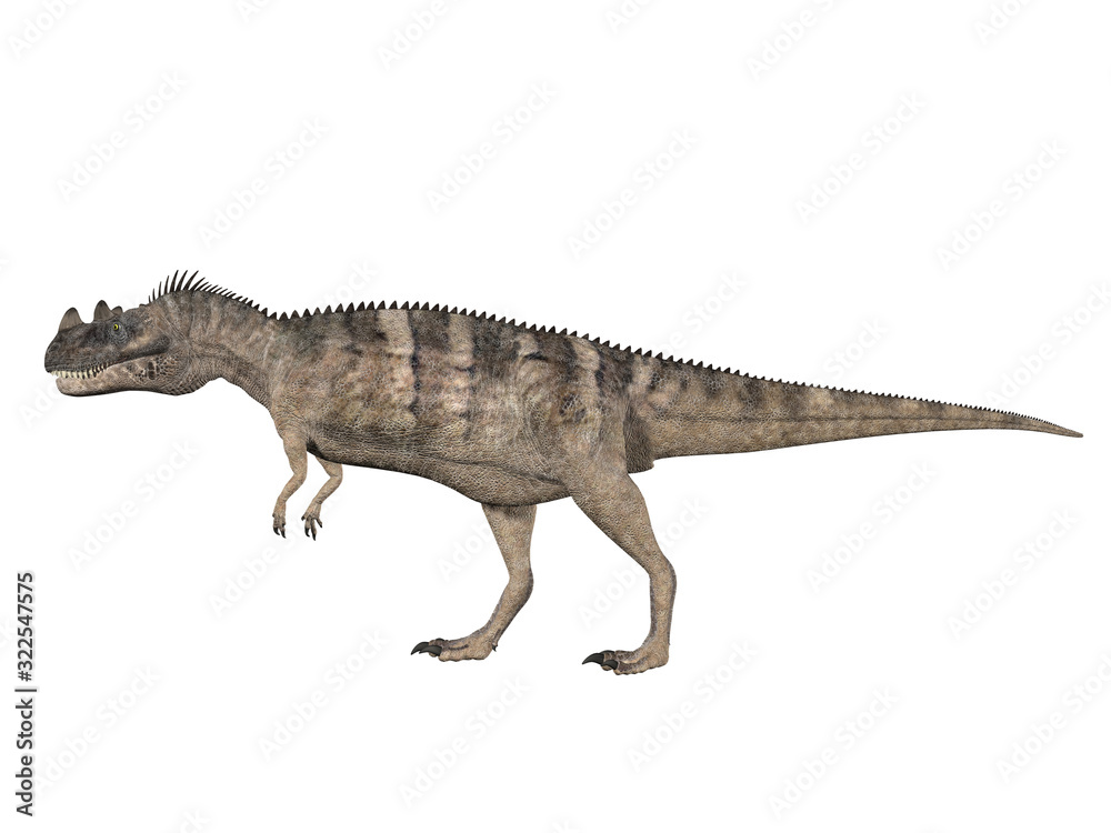 Ceratosaurio Ceratosaurio