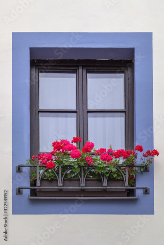 Close up view of nice window with flowers.